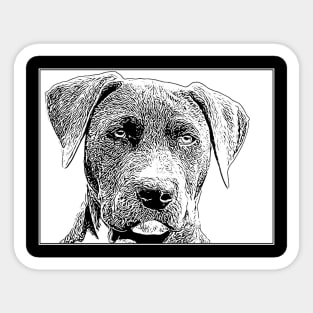 Pit Bull Stamp Sticker